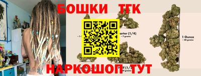 стаф Донской