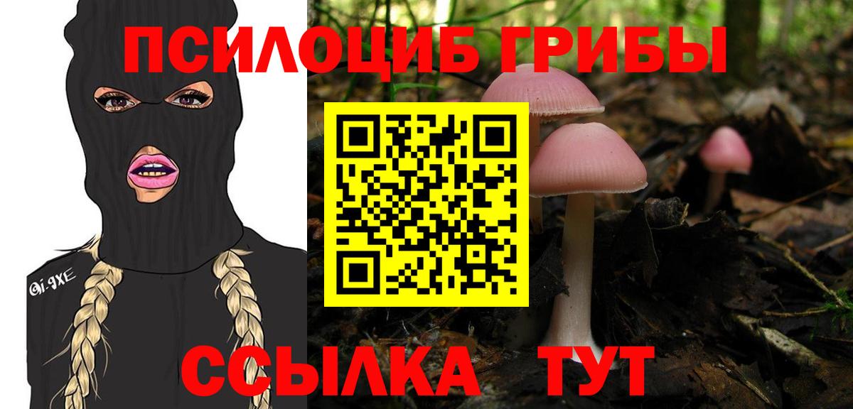 Псилоцибиновые грибы мицелий Лыткарино
