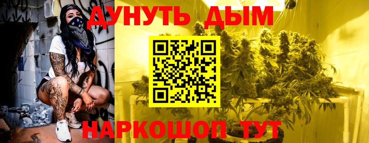 Бошки Шишки Bruce Banner  Бошки Шишки план  Лыткарино  Вход с VPN 